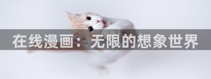 风车漫画免费阅读app软件：在线漫画：无限的想象世界