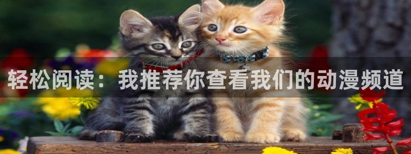 风车漫画免费版：轻松阅读：我推荐你查看我们的动漫频道