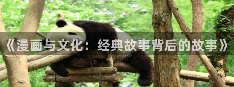 风车漫画app免费下载：《漫画与文化：经典故事背后的故事》