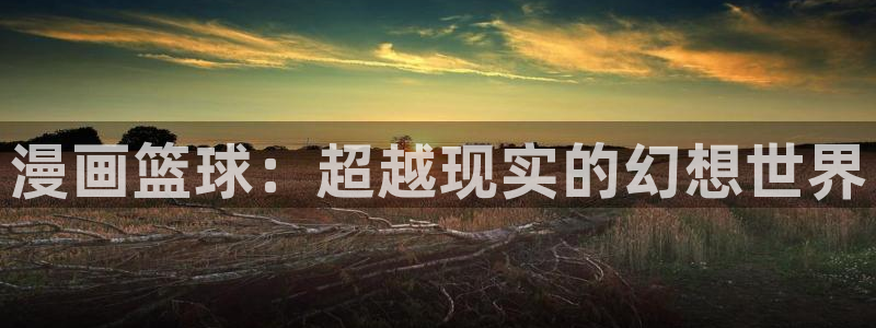 风车漫画动漫官网在线观看：漫画篮球：超越现实的幻想世界