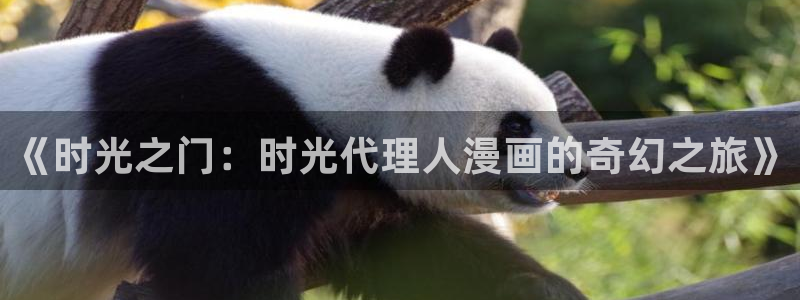 风车漫画app最新下载：《时光之门：时光代理人漫画的奇幻之旅》