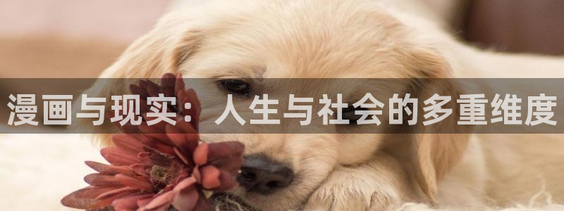 风车漫画下载软件：漫画与现实：人生与社会的多重维度